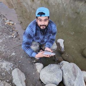 Meet your Posher, Roman